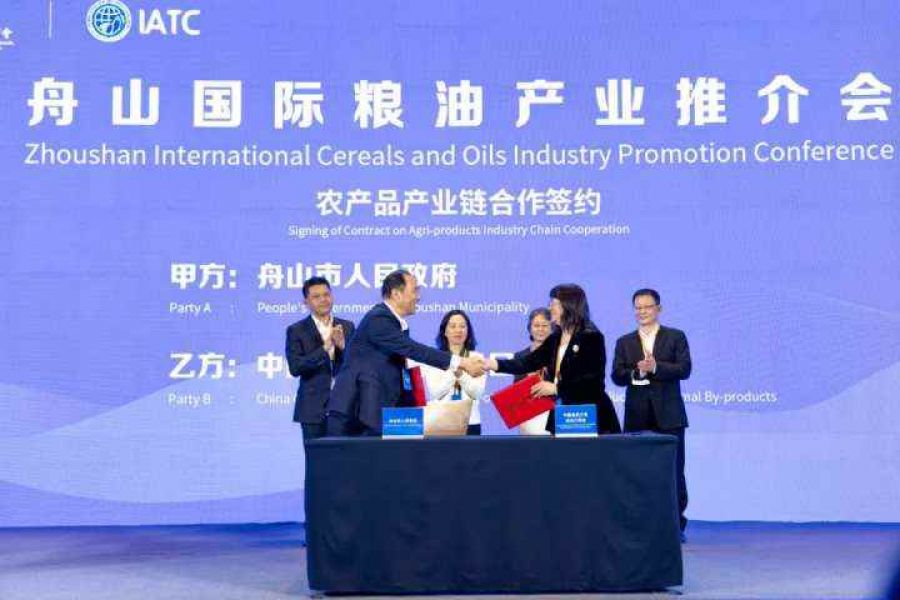 1667891907839784HCZD.jpg 16.jpg